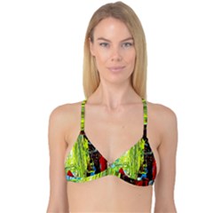 Dscf2262 - Point Of View - Part3 Reversible Tri Bikini Top by bestdesignintheworld