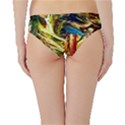 Dscf2289 -mountain road Hipster Bikini Bottoms View2