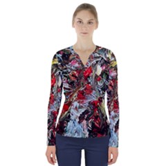 Dscf2312 Eden Garden-2 V-neck Long Sleeve Top