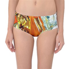 Dscf1503 - With Themis On A Shade Mid-waist Bikini Bottoms by bestdesignintheworld