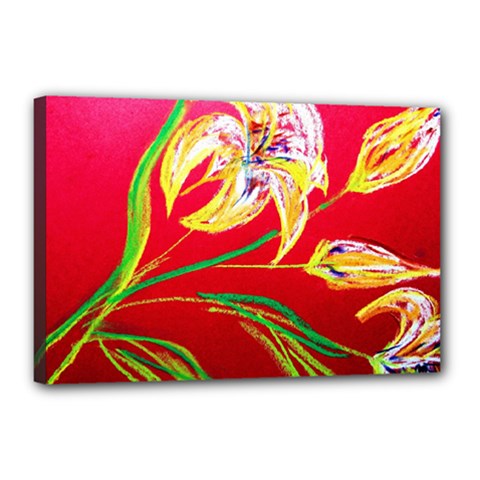 Dscf1393 - Tender Bright Lillies Canvas 18  X 12  by bestdesignintheworld