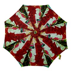 Dscf1676 - Roxana An Alexander Hook Handle Umbrellas (large) by bestdesignintheworld