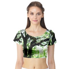 Lake Park 6 Short Sleeve Crop Top by bestdesignintheworld