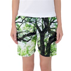 Lake Park 6 Women s Basketball Shorts by bestdesignintheworld