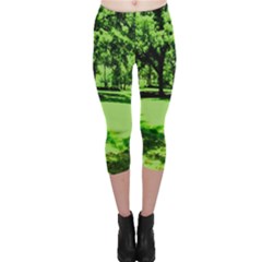 Lake Park 13 Capri Leggings  by bestdesignintheworld