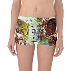 Doves Matchmaking 3 Reversible Boyleg Bikini Bottoms