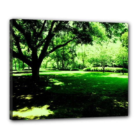 Lake Park 14 Canvas 20  X 16  by bestdesignintheworld