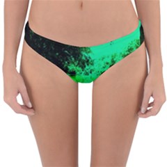 Lake Park 20 Reversible Hipster Bikini Bottoms by bestdesignintheworld