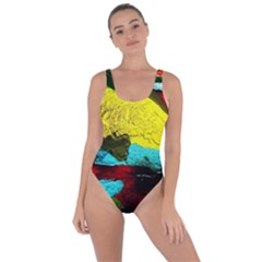 Yellow Dolphins   Blue Lagoon 3 Bring Sexy Back Swimsuit by bestdesignintheworld