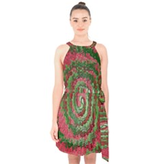 Red Green Swirl Twirl Colorful Halter Collar Waist Tie Chiffon Dress