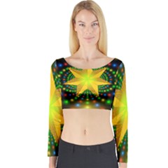 Christmas Star Fractal Symmetry Long Sleeve Crop Top