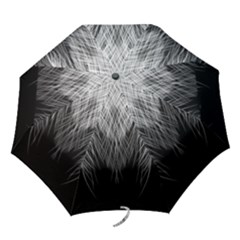 Feather Graphic Design Background Folding Umbrellas