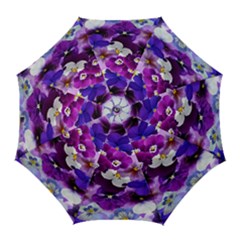 Graphic Background Pansy Easter Golf Umbrellas by Sapixe