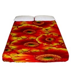 Gerbera Flowers Nature Plant Fitted Sheet (queen Size) by Sapixe
