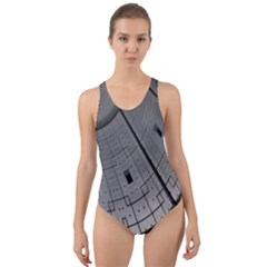 Graphic Design Background Cut-Out Back One Piece Swimsuit