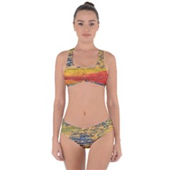 The Framework Drawing Color Texture Criss Cross Bikini Set by Sapixe