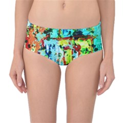 Birds   Caged And Free Mid-waist Bikini Bottoms by bestdesignintheworld