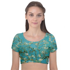 Almond Blossom  Velvet Short Sleeve Crop Top 