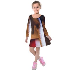 Colors And Fabrics 28 Kids  Long Sleeve Velvet Dress