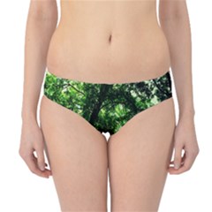 Lake Park 17 Hipster Bikini Bottoms