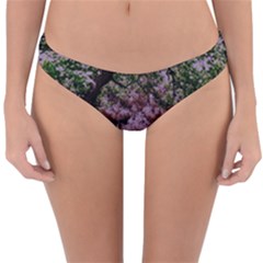 Old Tree 6 Reversible Hipster Bikini Bottoms