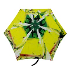 Poppies In An Abandoned Yard 10 Mini Folding Umbrellas by bestdesignintheworld