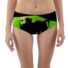 Guard 2 Reversible Mid-waist Bikini Bottoms