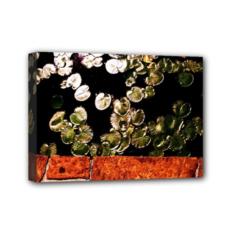 Highland Park 4 Mini Canvas 7  X 5  by bestdesignintheworld