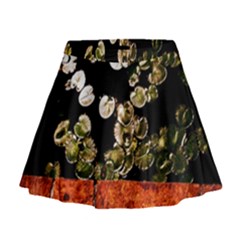 Highland Park 4 Mini Flare Skirt by bestdesignintheworld