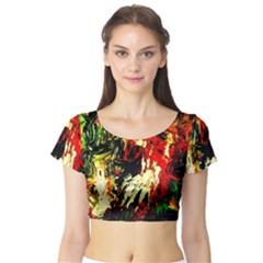 Sunset In A Desert Of Mexico 1 Short Sleeve Crop Top