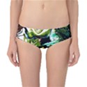 Bow Of Scorpio Before A Butterfly 8 Classic Bikini Bottoms View1