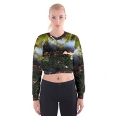 Highland Park 10 Cropped Sweatshirt by bestdesignintheworld