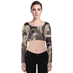 Jurisprudence - Gustav Klimt Velvet Crop Top by Valentinaart