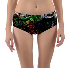 Gatchina Park 4 Reversible Mid-waist Bikini Bottoms by bestdesignintheworld