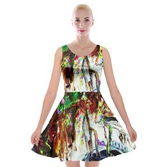 Gatchina Park 1 Velvet Skater Dress by bestdesignintheworld