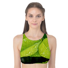 Leaf Green Foliage Green Leaves Tank Bikini Top by Simbadda