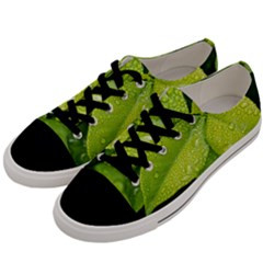 Leaf Green Foliage Green Leaves Men s Low Top Canvas Sneakers