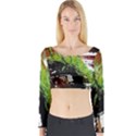 Collosium   Swards And Helmets 3 Long Sleeve Crop Top View1