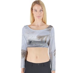 Feather Brown Gray White Natural Photography Elegant Long Sleeve Crop Top by yoursparklingshop