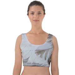 Feather Brown Gray White Natural Photography Elegant Velvet Crop Top by yoursparklingshop