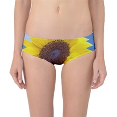 Sunflower Floral Yellow Blue Sky Flowers Photography Classic Bikini Bottoms by yoursparklingshop