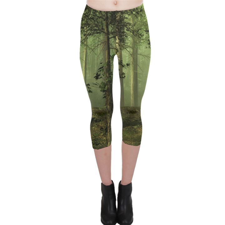 Forest Tree Landscape Capri Leggings 