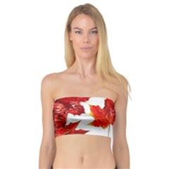 Innovative Bandeau Top