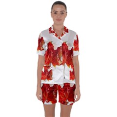 Innovative Satin Short Sleeve Pyjamas Set by GlobidaDesigns