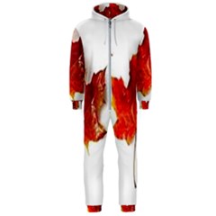 Innovative Hooded Jumpsuit (men) 