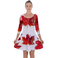 Innovative Quarter Sleeve Skater Dress by GlobidaDesigns