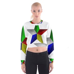 Druze Star Cropped Sweatshirt by abbeyz71