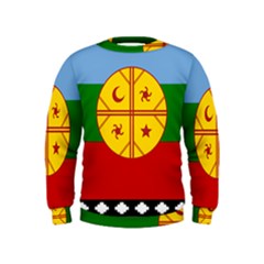 Flag Of The Mapuche People Kids  Sweatshirt by abbeyz71