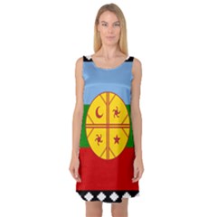 Flag Of The Mapuche People Sleeveless Satin Nightdress by abbeyz71