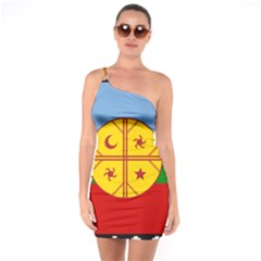 Flag Of The Mapuche People One Soulder Bodycon Dress by abbeyz71